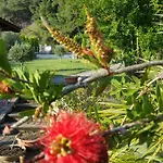 Sun Exclusive Seaside Aparthotel Polychrono