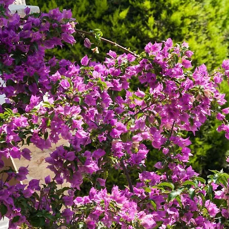 Sun Exclusive Seaside شقة فندقية