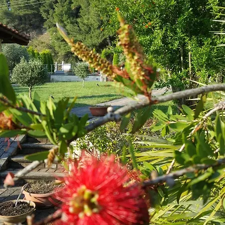 Sun Exclusive Seaside Aparthotel Polychrono