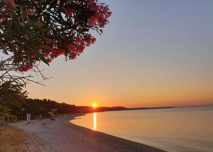 Sun Exclusive Seaside Polychrono