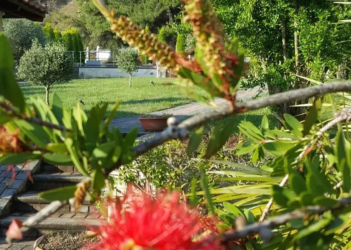 Sun Exclusive Seaside Apartahotel Polychrono