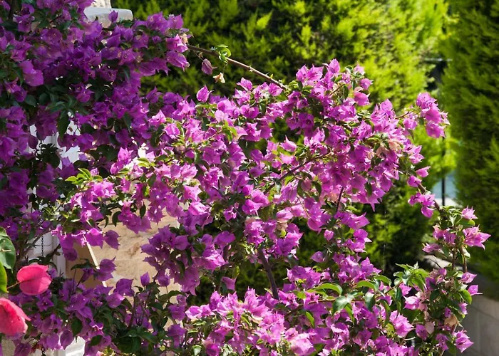 Sun Exclusive Seaside Apartahotel